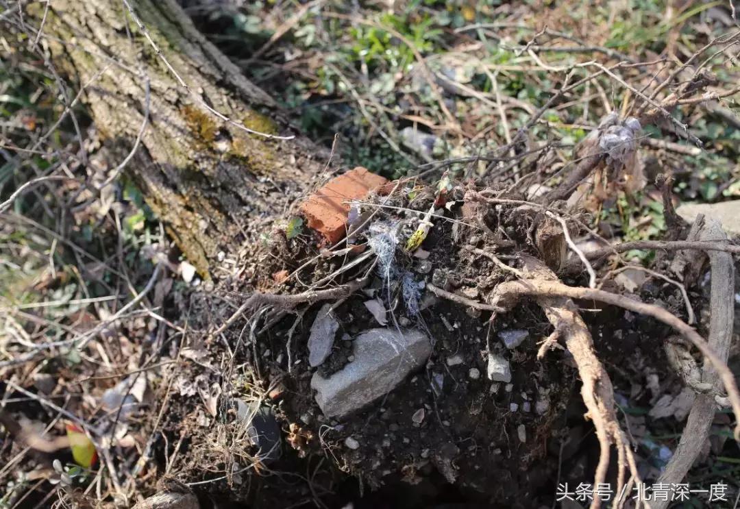 亚洲第一开采坑,亚洲第一天坑的矿产采完了吗