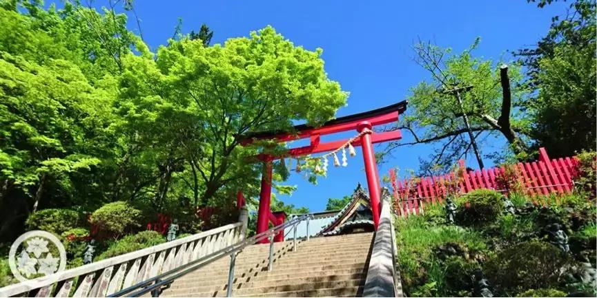 日本爸爸带全家游,带父母去日本旅游趣事