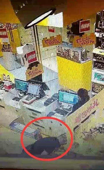 双胞胎兄弟双双被抓,双胞胎兄弟坐牢出狱