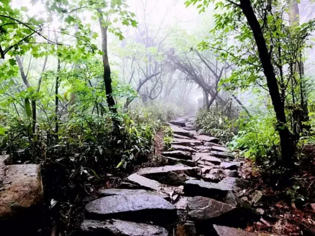 十大最美古道,2018中国十大古道评选