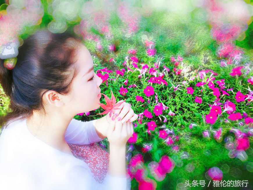 合肥逍遥津始建于哪年,古老的合肥逍遥津