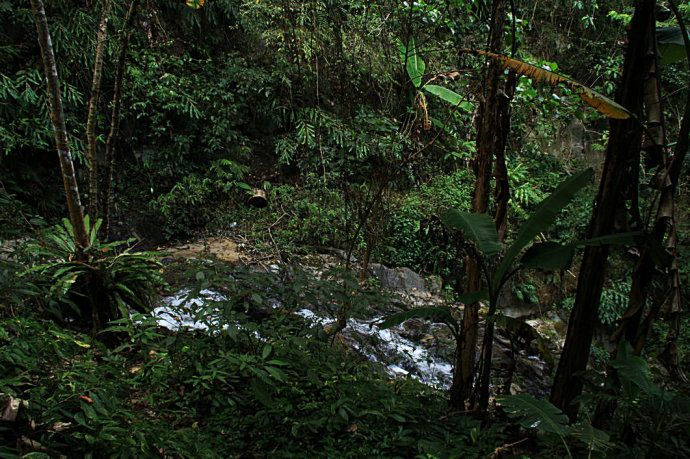 最美樱花温泉,樱花谷泡温泉价目表