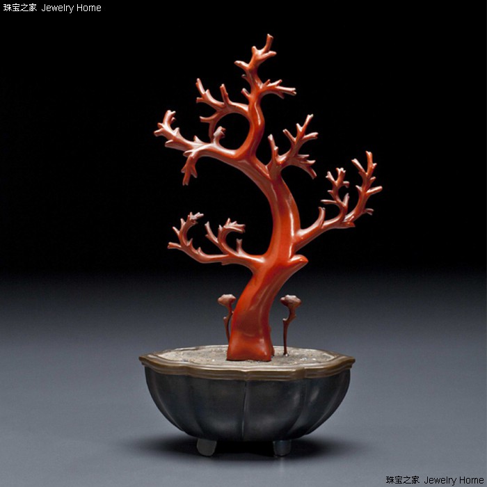 红珊瑚和阿卡沙丁哪个好,阿卡沙丁momo区别