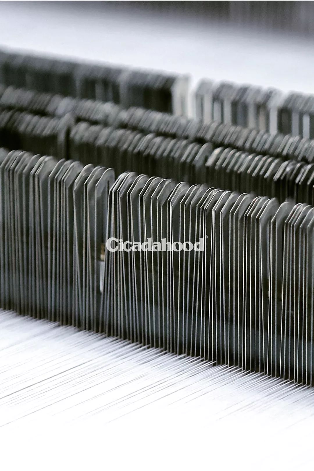 不穿aj穿莆田,穿匡威打篮球