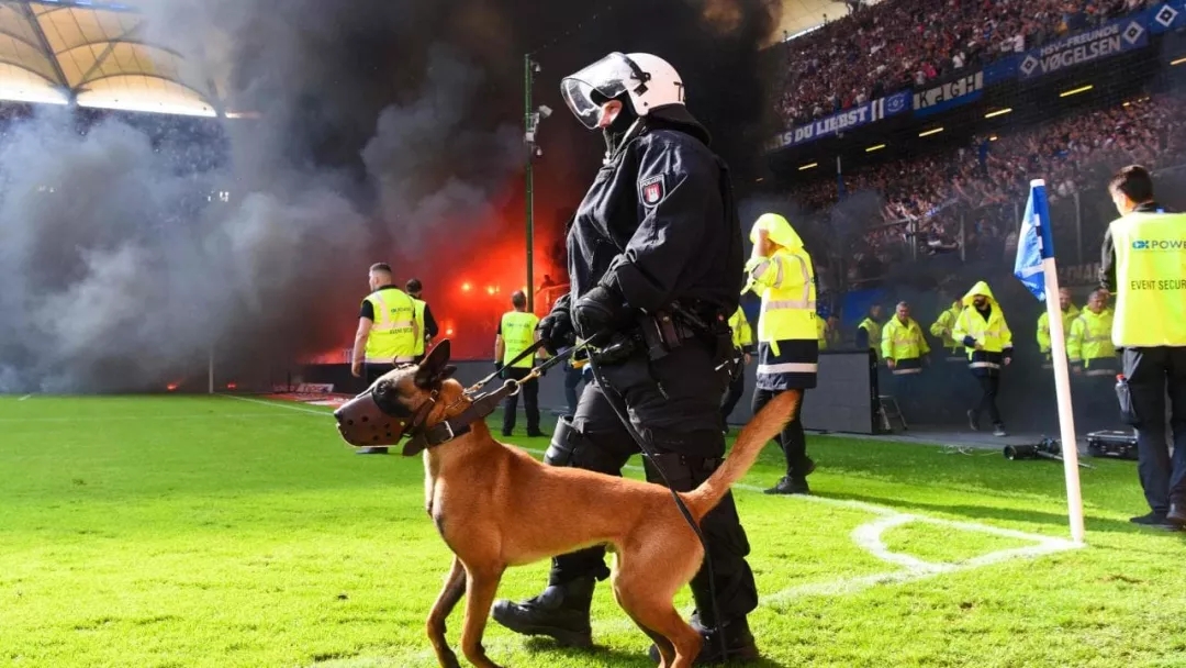 球场内的烟火是什么,球场的烟火