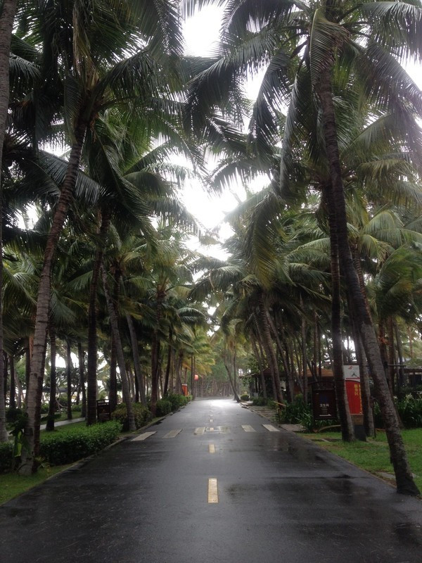 北纬18°风飘飘兮海水蓝