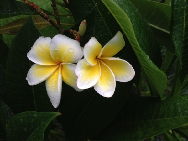 北纬18°风飘飘兮海水蓝