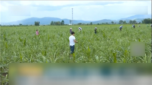 云南陨石最高价,云南陨石天价