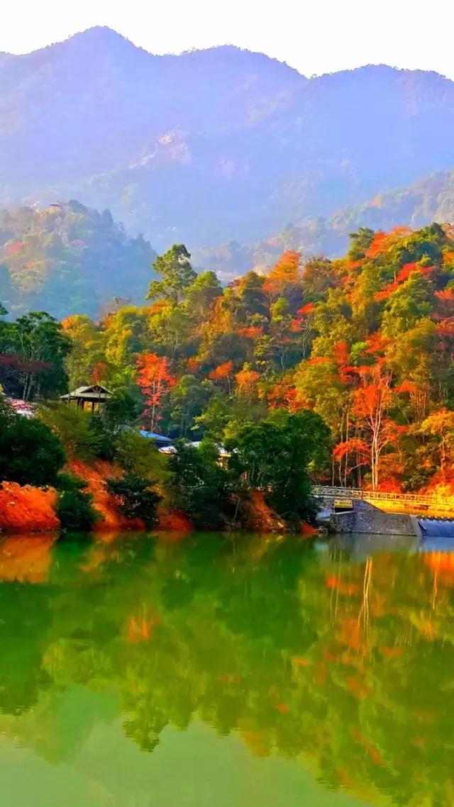 惠州小镇旅游景点推荐,惠州旅游景点小镇推荐