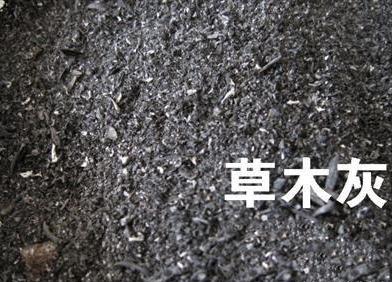 没有卫生巾的年代女性都用什么,古代人没卫生巾是怎么过的