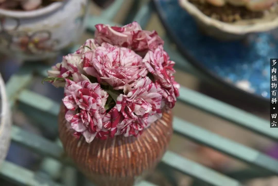 推开世界的门和自己和解,推开世界的门你所看到的风景