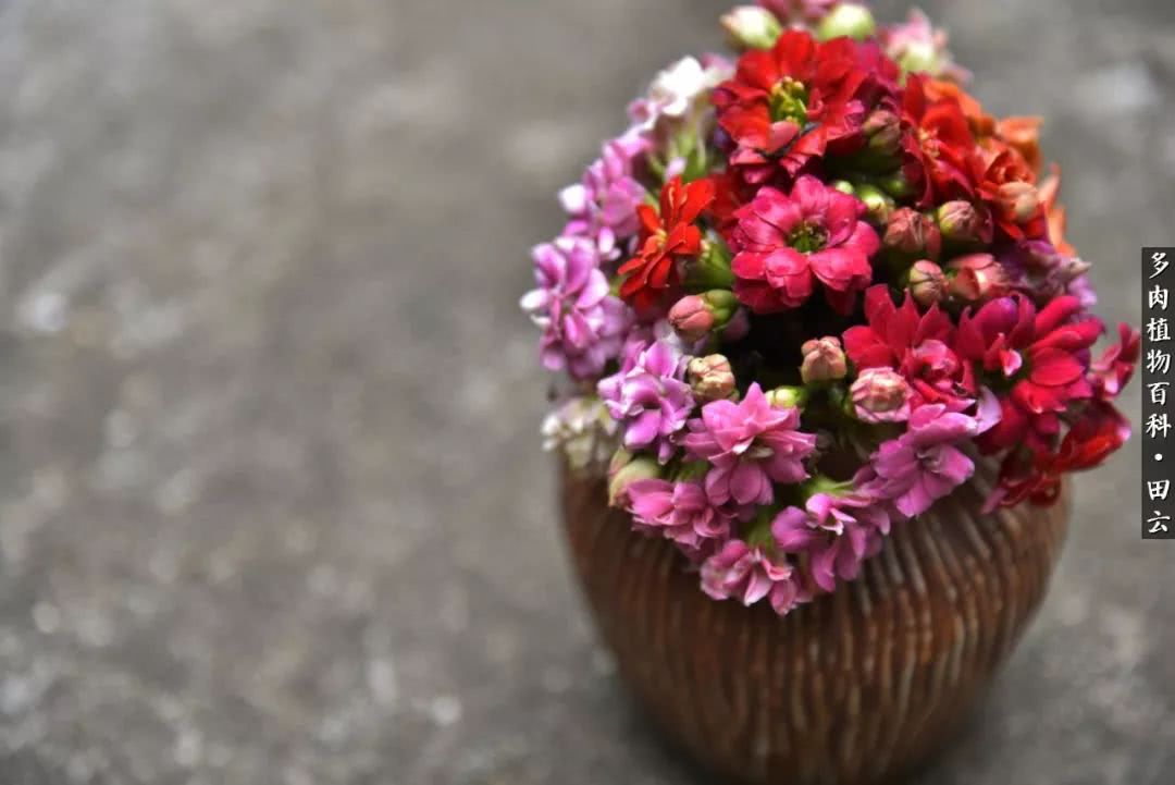 推开世界的门和自己和解,推开世界的门你所看到的风景