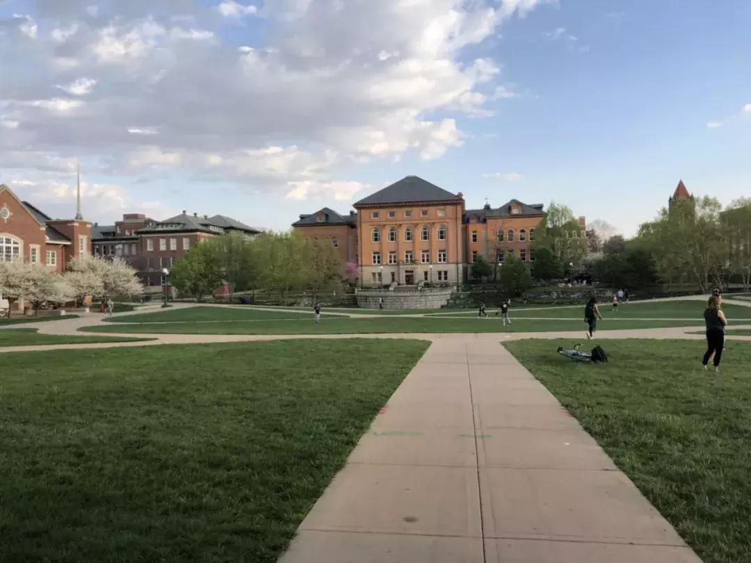 moreart艺术怎么样,moreart艺术展