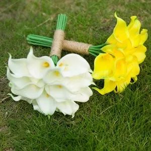 珍稀马蹄莲,如何让马蹄莲一年四季都活着