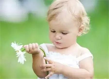 蚊子大军训练,17个驱蚊小妙招让蚊子不敢进房间