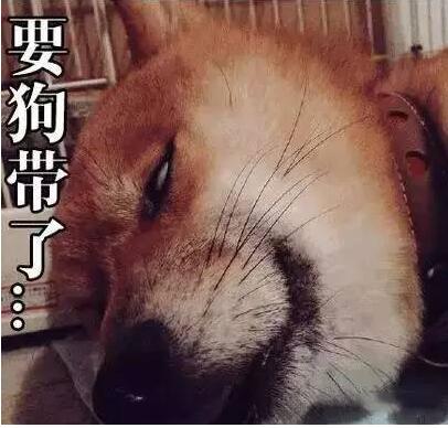 军人的身体素质是怎么练出来的,军人的身体素质有多好