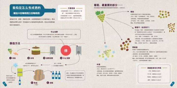 中国红酒供销网——葡萄酒到底是怎么酿造出来的？