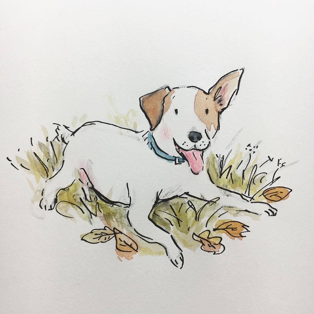 水彩可爱小兔简笔画,兔子简笔画水彩画