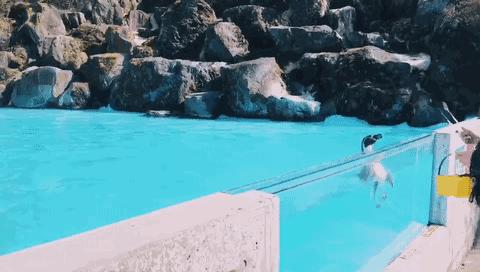 日本发现的大宝藏,日本挖出大宝藏