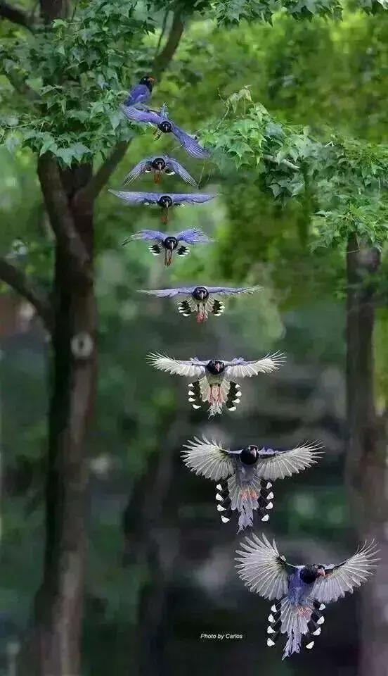 刚拍的你从未见过的集体照,史上最全的集体照