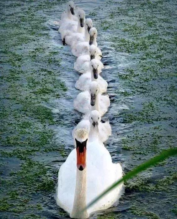 超有气氛的集体照图片,刚拍的你从未见过的集体照