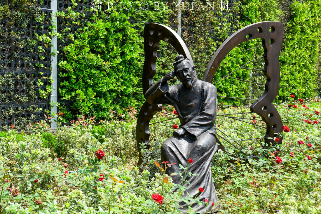 中国的国蝶是什么？居然很多人都不知道！来亚州最大有蝴蝶馆看看