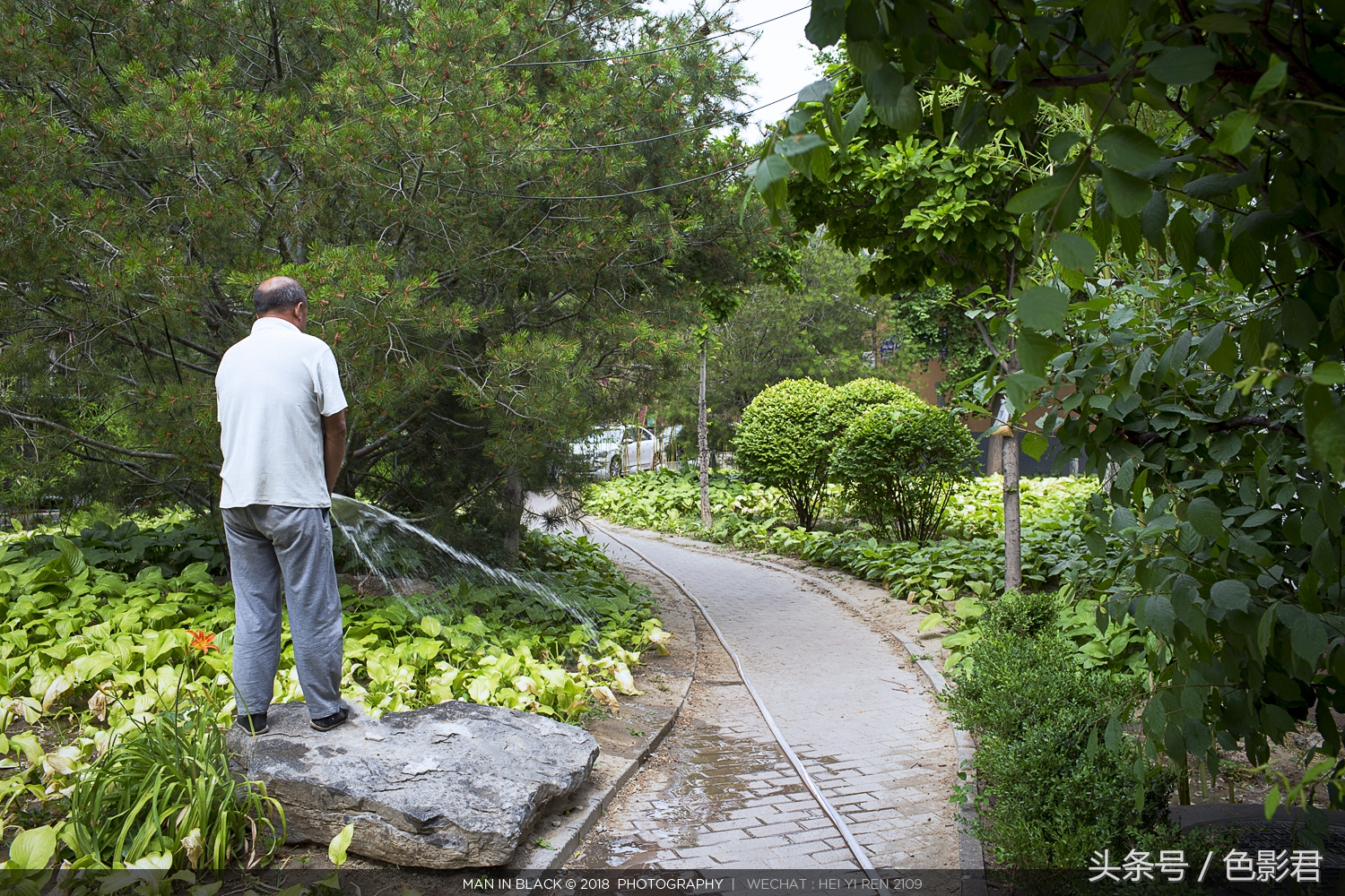 佳能rf100400和100500,佳能最新款镜头推荐哪款