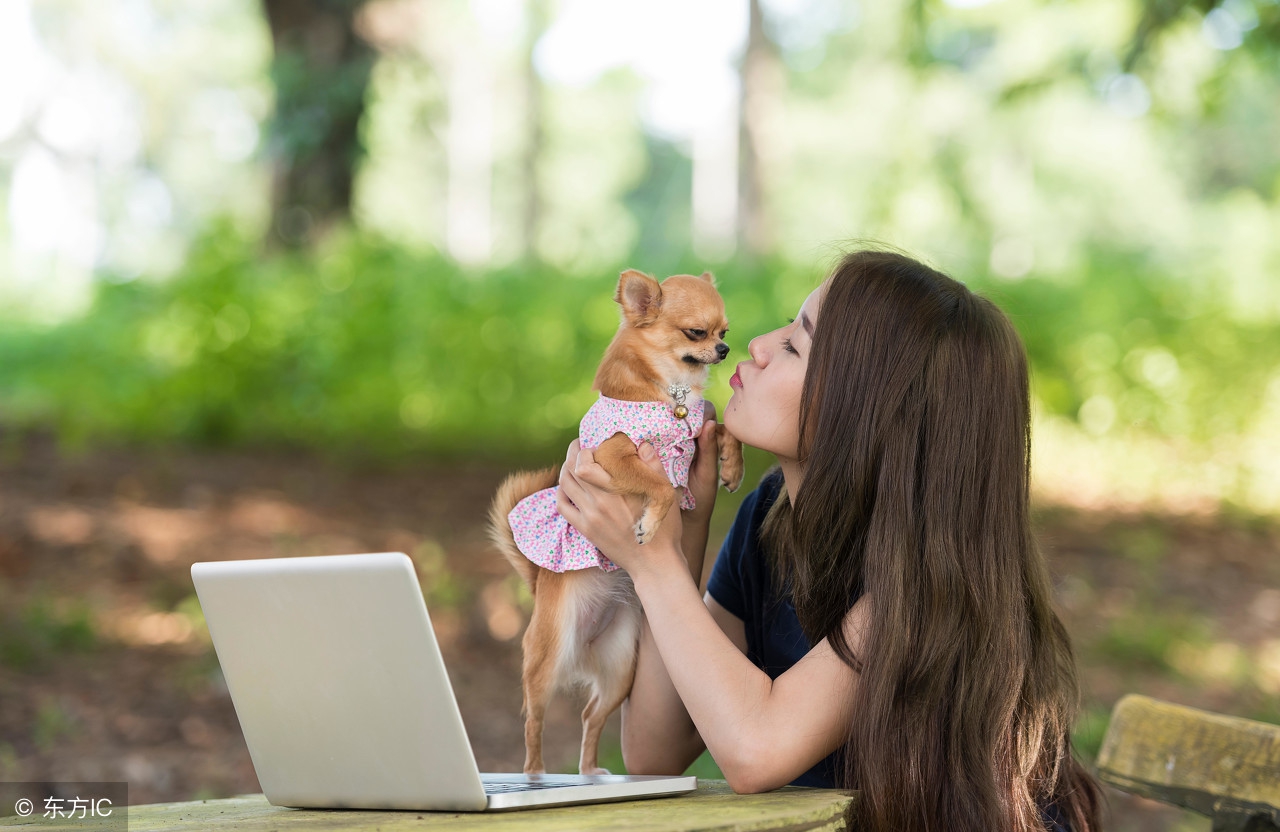 爱情诗句经典英文摘抄,英文爱情诗句