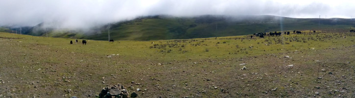 一个人、一只狗、一辆小踏板，风雨30天去*藏西**的故事（四）