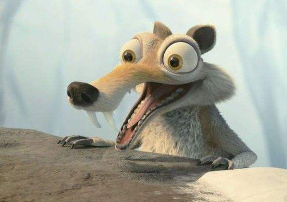 新手小白好养的松鼠宠物,新手超进化宠物推荐