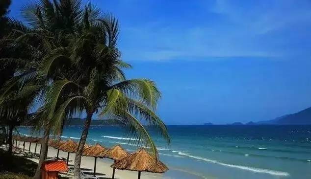 芽庄自由行攻略带吃的 (芽庄吃海鲜攻略2018)