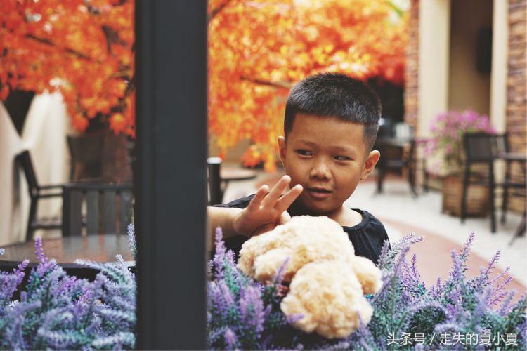 摄影：菠萝油王子