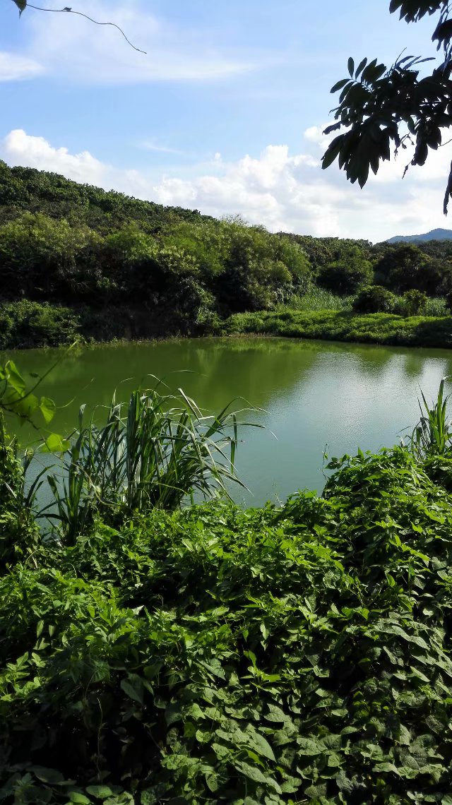 即将从珠海回归赣州发展的本宫