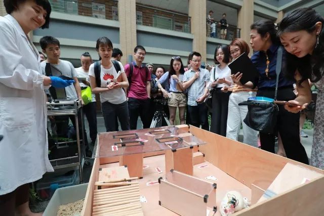 楂樻牎浜哄伐鏅鸿兘鍒涙柊琛屽姩,娴欐睙澶у楂樻牎浜哄伐鏅鸿兘鍒涙柊