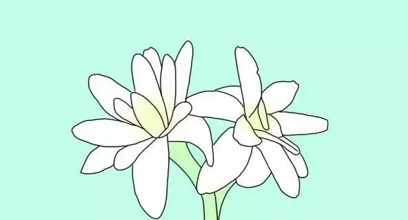 洗衣液对蚊子有效吗,洗衣液可以驱蚊子吗