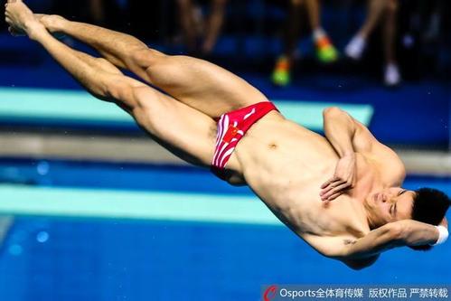 跳水中国队包揽金牌,跳水世界锦标赛中国队参赛名单