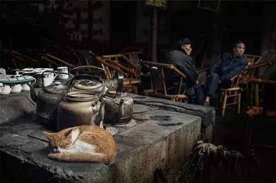 双流县十大美女,双流区漂亮美女