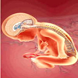 孕期补充叶酸很重要！宝宝“脊柱裂开了”怎么办？