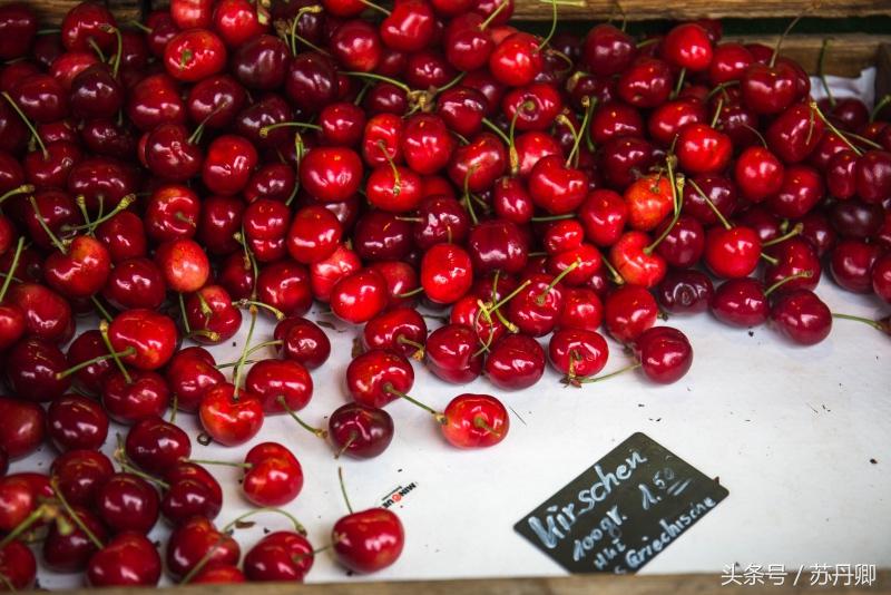 中国游客在德国买水果，12.8欧元1公斤的樱桃直呼真不贵