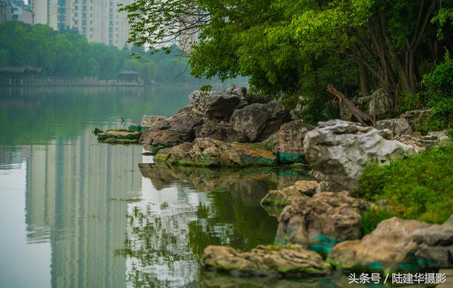 粽情端午南通,粽情端午邻里相约