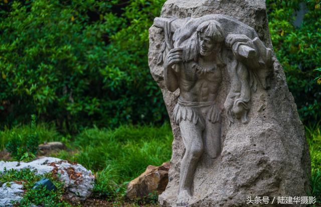 粽情端午南通,粽情端午邻里相约