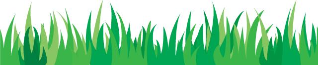 直击俄罗斯世界杯现场,2022世界杯现场直播c罗