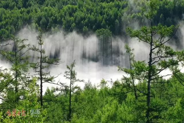 深读，这就是延边！这里有一个22℃的夏天，还有……