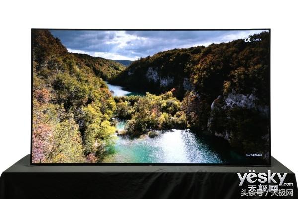 伪球迷看世界杯真球迷看欧冠,伪球迷必备看球指南