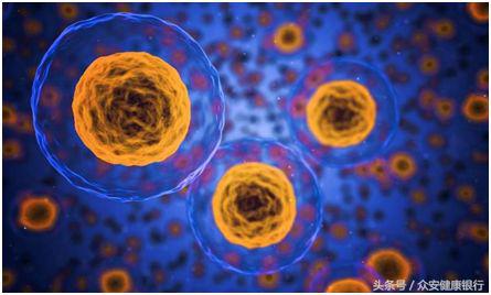 众安健康银行：神经干细胞最新研究进展