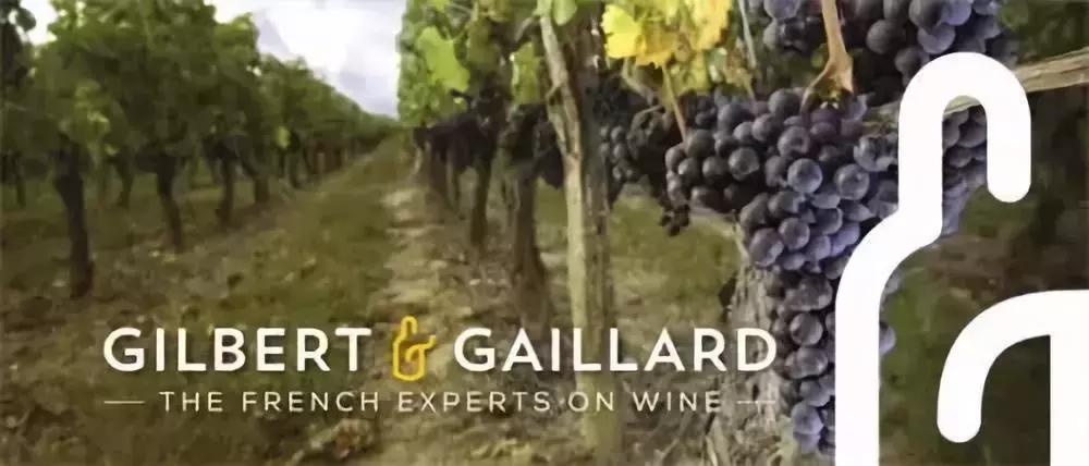 尼雅葡萄酒臻酿,尼雅葡萄酒精选级