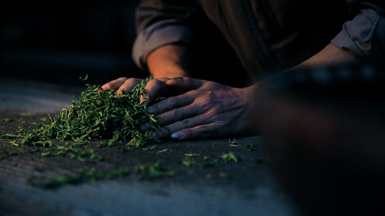 探访谢氏家族,谢裕大最贵的茶