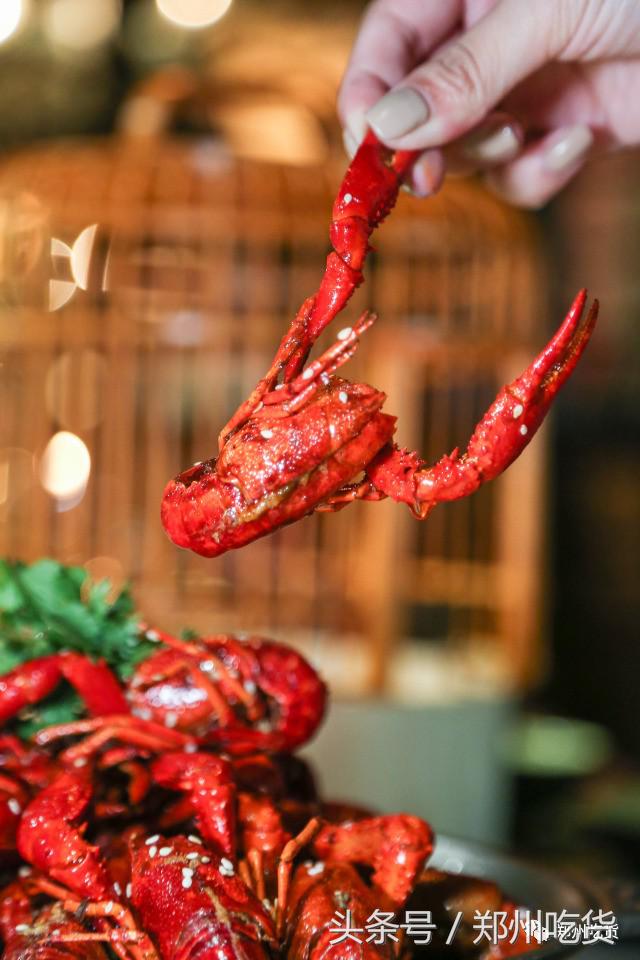 一家藏在郑州里的世外桃源，来这看世界杯没错！