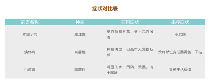 葡萄保果后掉粒什么原因,葡萄果粒变软脱落是什么原因