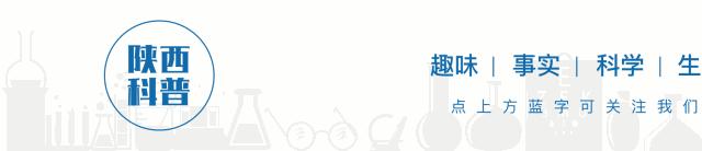 踢一场完整的球赛会消耗多少大卡,踢一场足球赛用多长时间